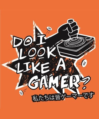 Do I Look Like a Gamer?